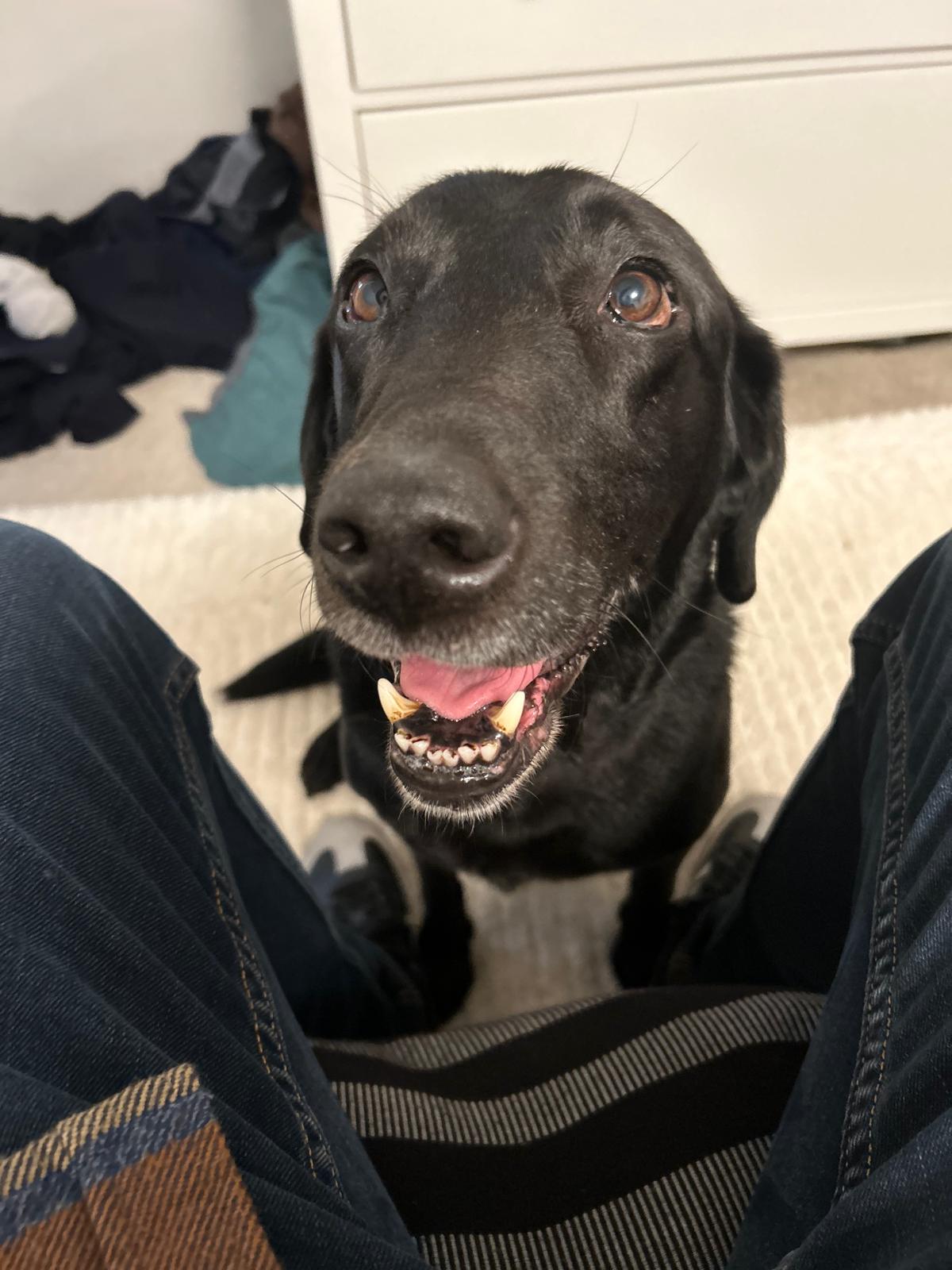 Poppy with her signature big grin