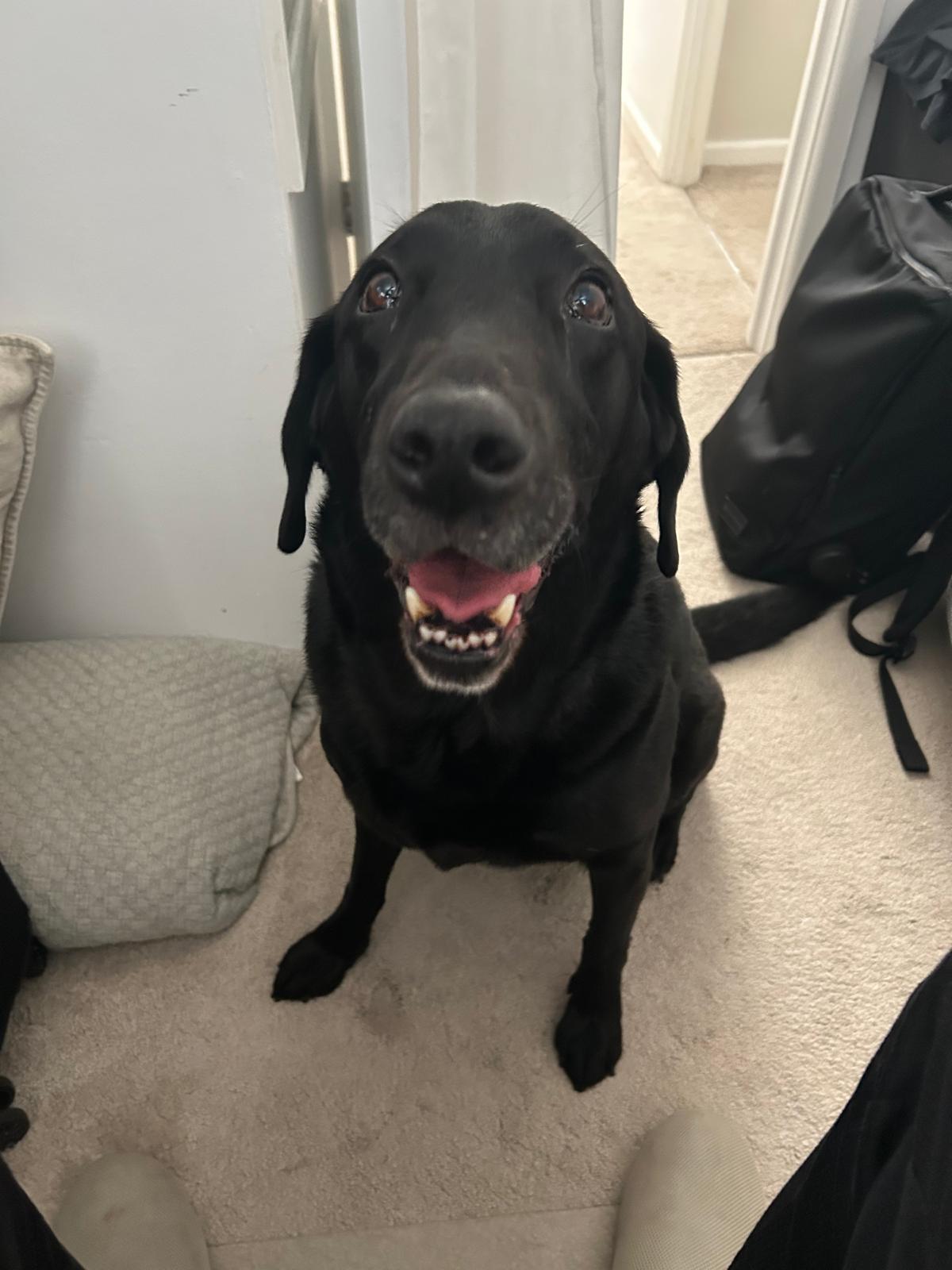 Poppy smiling in the doorway
